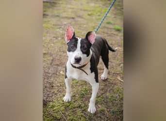 HERA - ich hätte so gerne eine Familie die mich lieb hat...