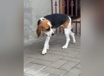 Luna - Ein ganz besonderes Mädchen sucht verständnisvolle Familie