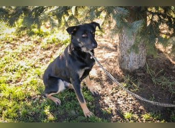 GRACE - ich freue mich auf ein tolles Leben mit meinen Menschen!