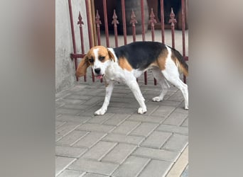 Luna - Ein ganz besonderes Mädchen sucht verständnisvolle Familie