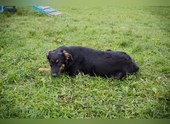 NIA - ich freue mich auf tolle Abenteuer mit meiner Familie!