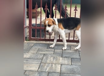 Luna - Ein ganz besonderes Mädchen sucht verständnisvolle Familie