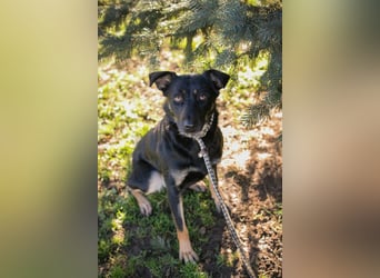 GRACE - ich freue mich auf ein tolles Leben mit meinen Menschen!