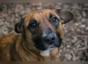 VANILLA - ich freue mich auf ein glückliches Leben bei meiner Familie!