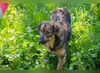 SISSY - in dieses hübsche Mädchen kann man sich doch nur verlieben...