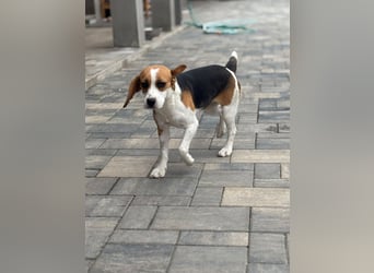 Luna - Ein ganz besonderes Mädchen sucht verständnisvolle Familie
