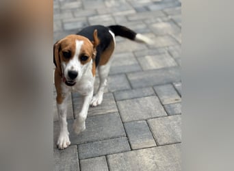 Luna - Ein ganz besonderes Mädchen sucht verständnisvolle Familie