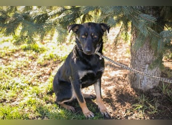 GRACE - ich freue mich auf ein tolles Leben mit meinen Menschen!