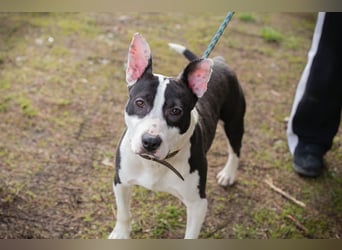 HERA - ich hätte so gerne eine Familie die mich lieb hat...