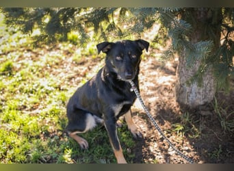 GRACE - ich freue mich auf ein tolles Leben mit meinen Menschen!