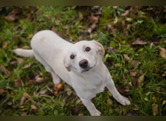 KIMANI - ich bin aufgeschlossen, munter und aktiv und suche eine unternehmungslustige Familie