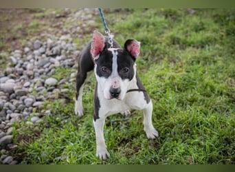 HERA - ich hätte so gerne eine Familie die mich lieb hat...