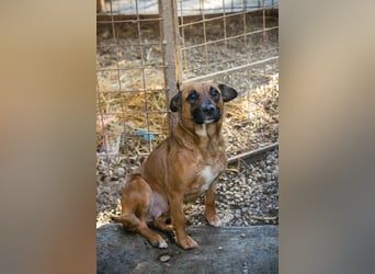 VANILLA - ich freue mich auf ein glückliches Leben bei meiner Familie!
