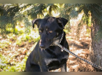 GRACE - ich freue mich auf ein tolles Leben mit meinen Menschen!