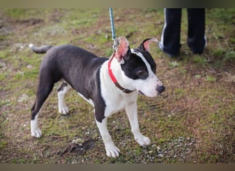 HERA - ich hätte so gerne eine Familie die mich lieb hat...