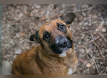 VANILLA - ich freue mich auf ein glückliches Leben bei meiner Familie!