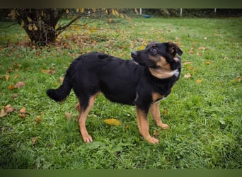 NIA - ich freue mich auf tolle Abenteuer mit meiner Familie!