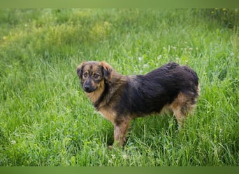 SISSY - in dieses hübsche Mädchen kann man sich doch nur verlieben...