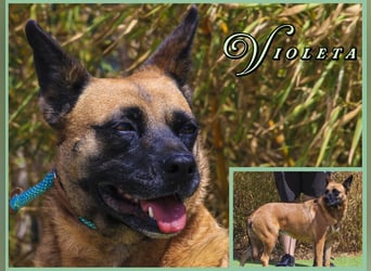 VIOLETA ❤️ schön, sanft und schüchtern