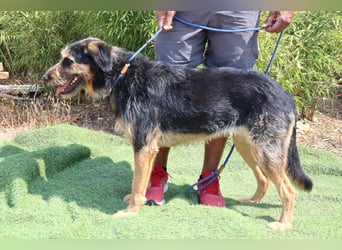 M ❤️ I ❤️ A - sehr gehorsam und sanft ~ aber nicht mehr gewollt