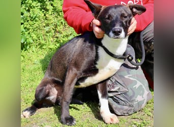 DAINA wurde mit ihrer Mutter und ihrem Bruder ausgesetzt ~ aber das liegt hinter ihr