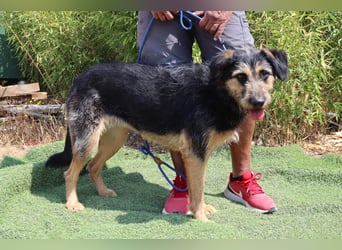 M ❤️ I ❤️ A - sehr gehorsam und sanft ~ aber nicht mehr gewollt