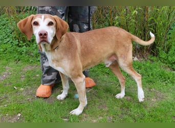 ARCHIE hat ein Handicap - Senior ARCHIE sucht Menschen mit ❤️