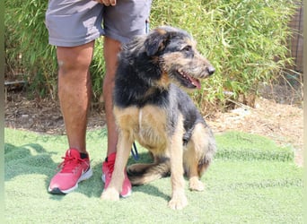 M ❤️ I ❤️ A - sehr gehorsam und sanft ~ aber nicht mehr gewollt