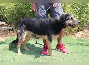 M ❤️ I ❤️ A - sehr gehorsam und sanft ~ aber nicht mehr gewollt