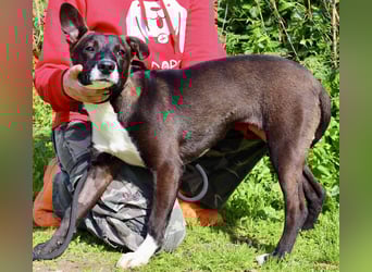 DAINA wurde mit ihrer Mutter und ihrem Bruder ausgesetzt ~ aber das liegt hinter ihr