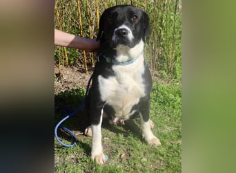 DAINA wurde mit ihrer Mutter und ihrem Bruder ausgesetzt ~ aber das liegt hinter ihr