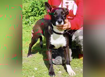 DAINA wurde mit ihrer Mutter und ihrem Bruder ausgesetzt ~ aber das liegt hinter ihr