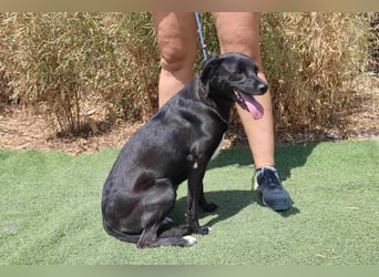 Lua ❤️ sanft und freundlich - lebte in einer Wohnung in der Stadt