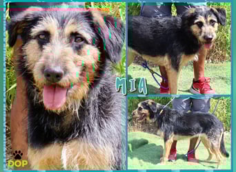 M ❤️ I ❤️ A - sehr gehorsam und sanft ~ aber nicht mehr gewollt