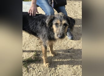 M ❤️ I ❤️ A - sehr gehorsam und sanft ~ aber nicht mehr gewollt