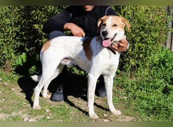 100%- lieb*freundlich*unkompliziert - *DOBY* - und kennt das Leben im Haus