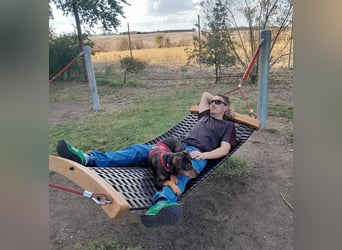 Risto - Charmeur sucht Sofa