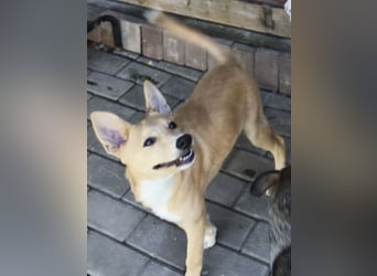 Narvik - verliebt sich jemand in mich ?