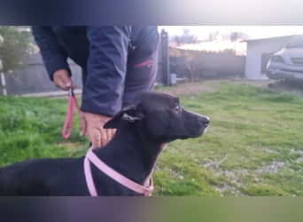 Bamby wartet auf ihre Chance!