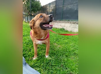 Lulu braucht endlich liebe Menschen!