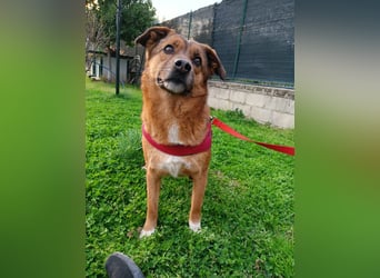 Lulu braucht endlich liebe Menschen!