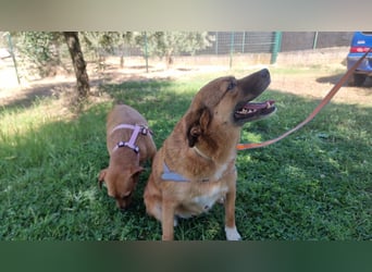 Lulu braucht endlich liebe Menschen!