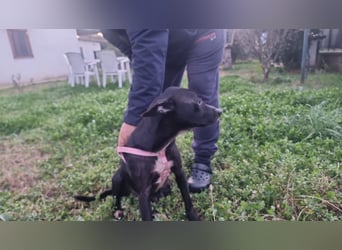 Bamby wartet auf ihre Chance!