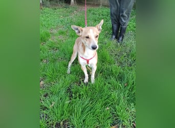 Gad–vom Rand der Straße in Ihr Herz!