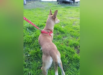 Gad–vom Rand der Straße in Ihr Herz!