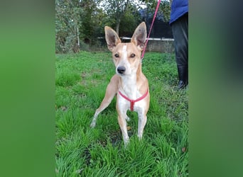 Gad–vom Rand der Straße in Ihr Herz!