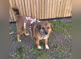 Lulu braucht endlich liebe Menschen!