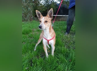 Gad–vom Rand der Straße in Ihr Herz!