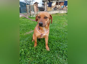 Kikka die Kämpferin sucht ihr Zuhause!