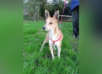 Gad–vom Rand der Straße in Ihr Herz!